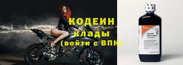хмурый Нефтекумск