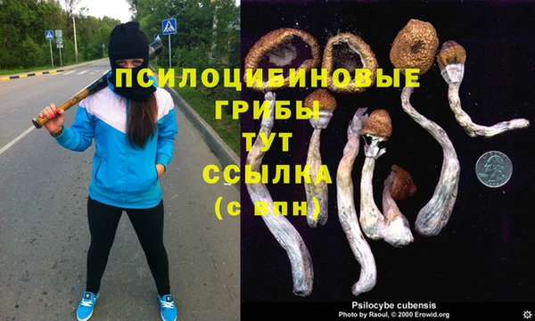 трава Нефтегорск